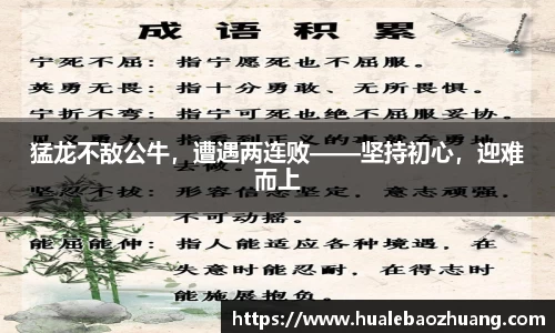 猛龙不敌公牛，遭遇两连败——坚持初心，迎难而上